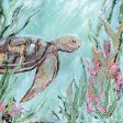 AH123 - A Sea Turtle in Sunlight - 12x12 Online Sale