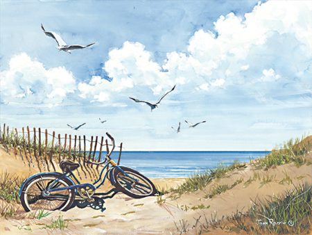 JR387 - Beach Access - 16x12 Discount