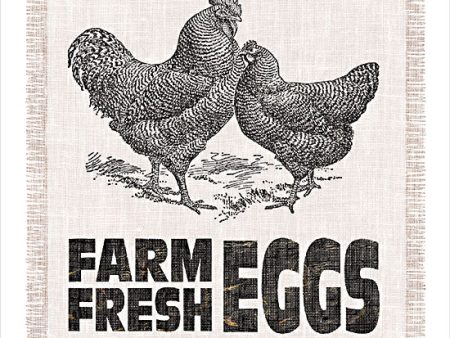 CIN3977 - Farm Fresh Eggs - 12x12 Supply