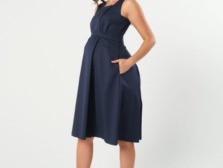 INTO THE BLUE Maternity & Nursing Dress (Regular & Petite) For Discount