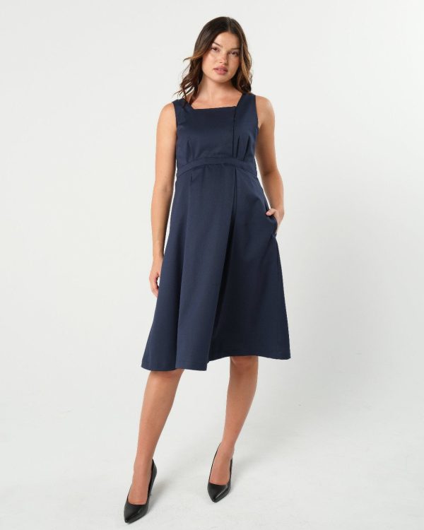 INTO THE BLUE Maternity & Nursing Dress (Regular & Petite) For Discount