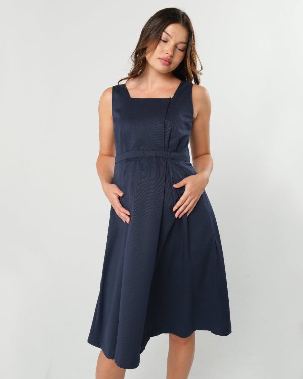 INTO THE BLUE Maternity & Nursing Dress (Regular & Petite) For Discount