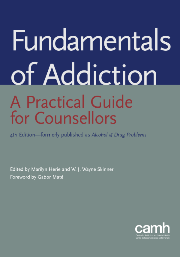 Fundamentals of Addiction For Sale