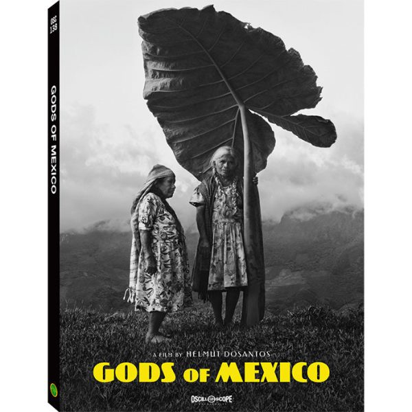 Gods of Mexico Sale