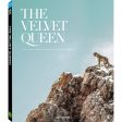 The Velvet Queen For Discount