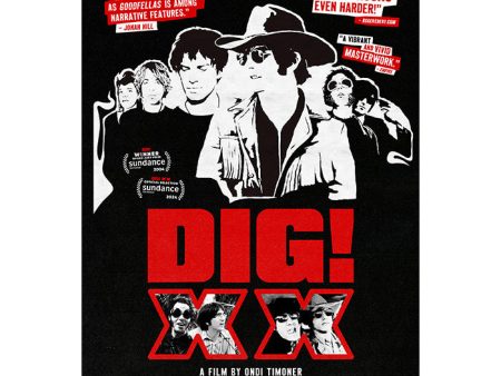 DIG! XX Poster For Cheap